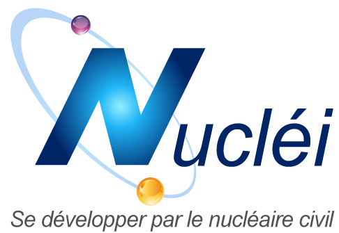 Rencontres marché du nucléaire : Business et Innovation nucleaire